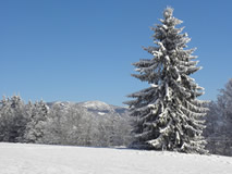 Zvonice